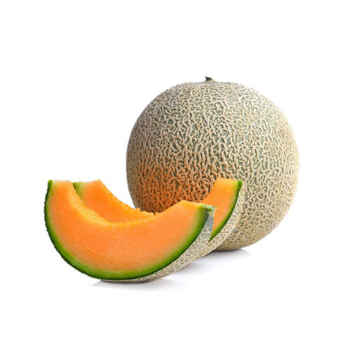 بطيخ عراقي 