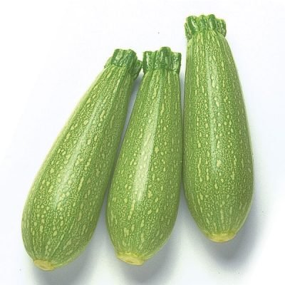 شجر درجه اولى