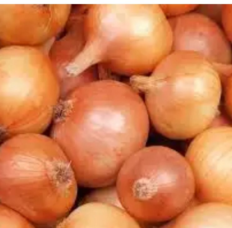 بصل بارد اصفر 