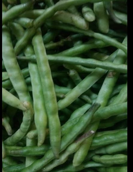 لوبيا