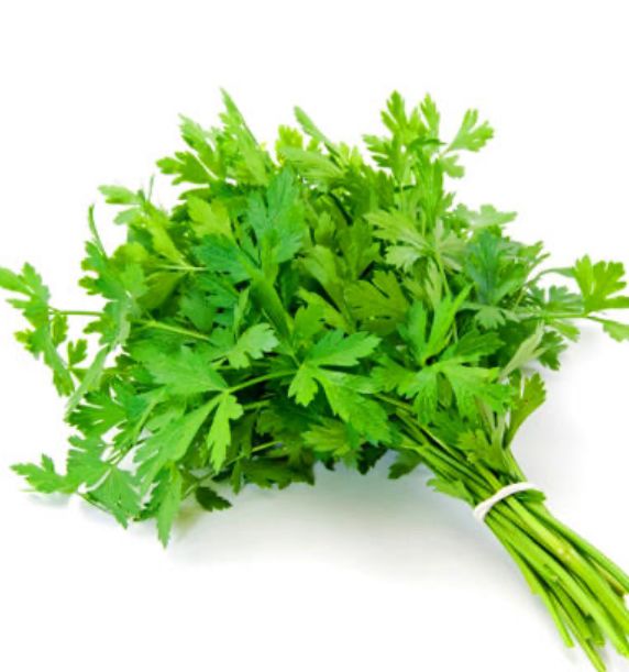 معدنوس 