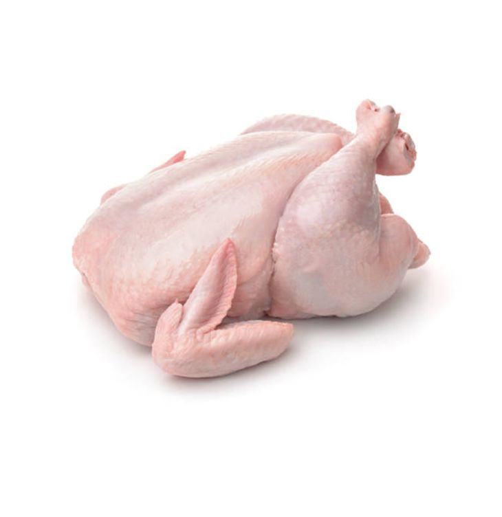 دجاج عراقي ذبح