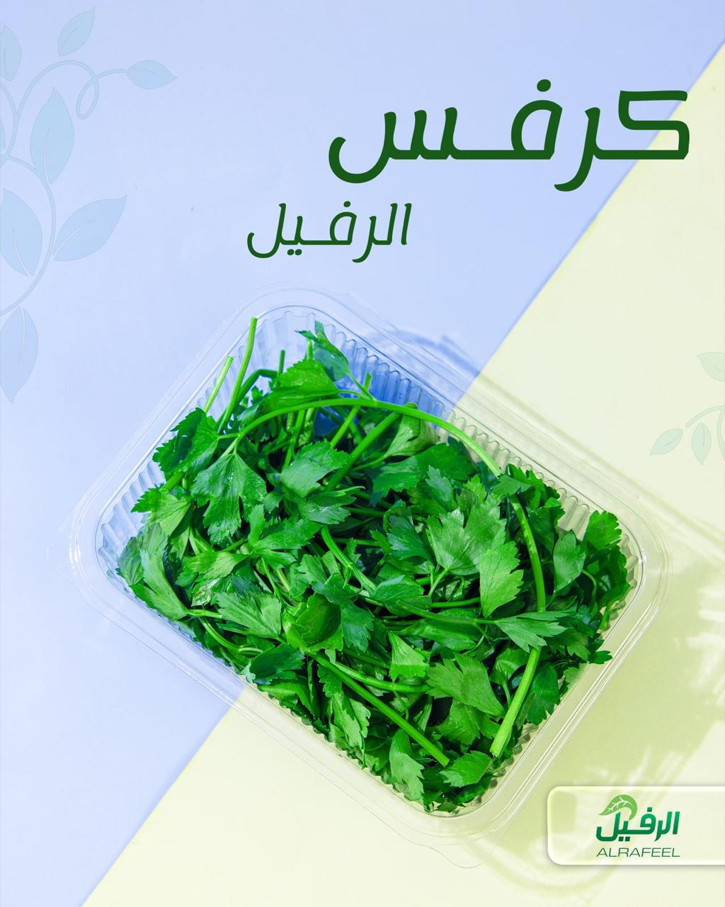 كرفس عراقي معلب ونظيف
