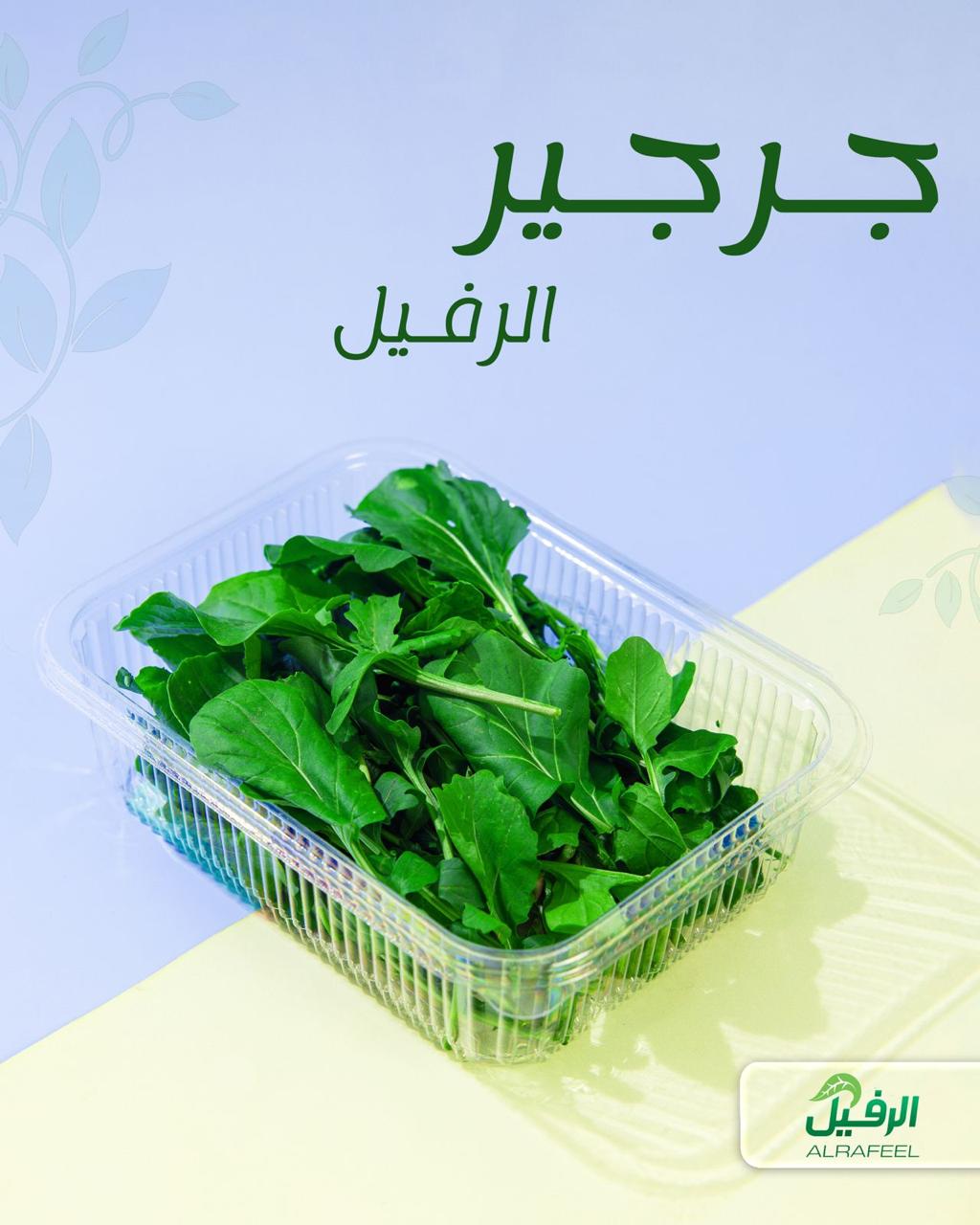 جرجير عراقي معلب ونظيف