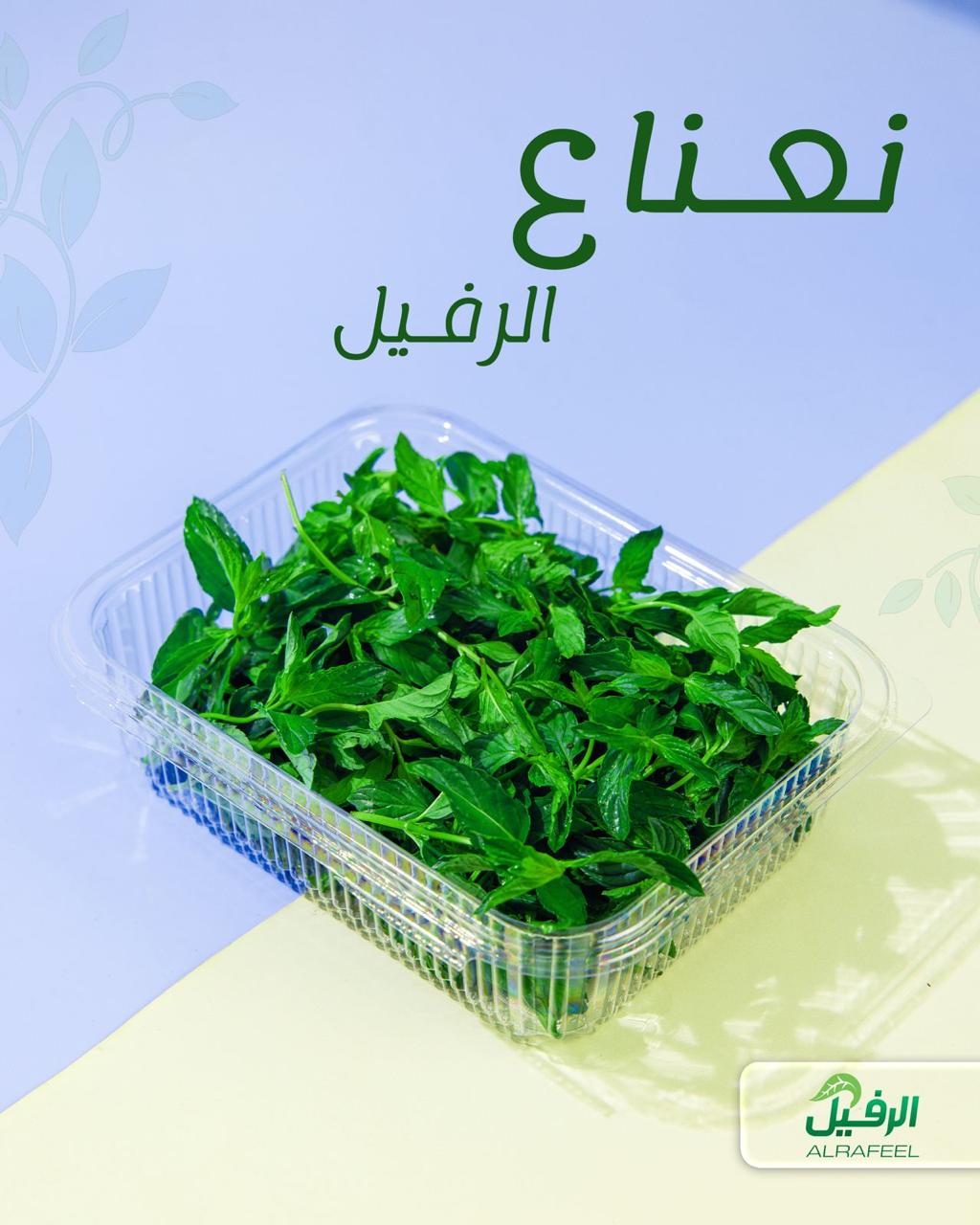 نعناع  عراقي معلب ونظيف
