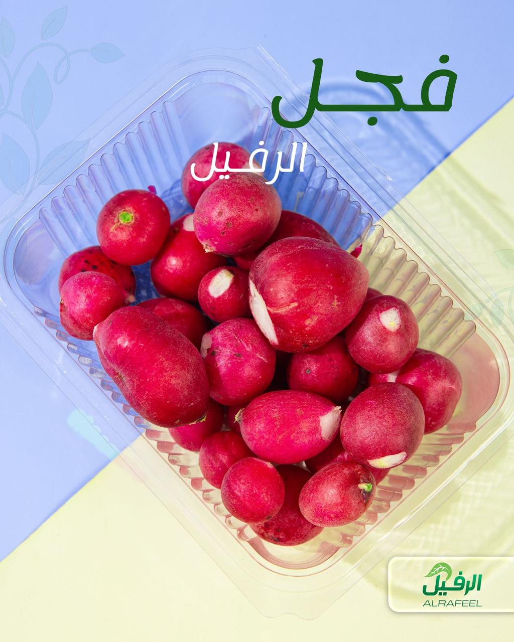 فجل عراقي معلب ونظيف