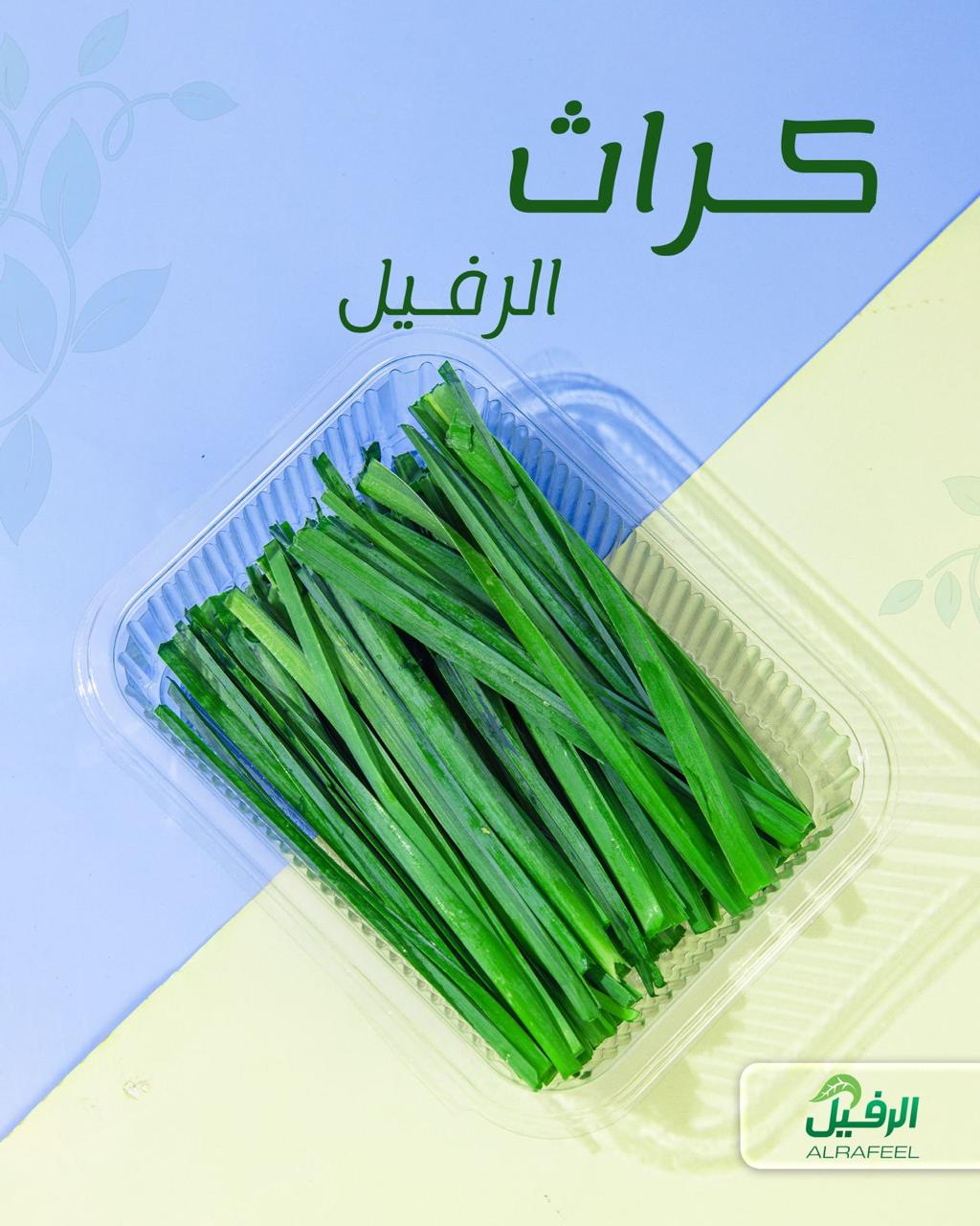 كراث عراقي  معلب ونظيف