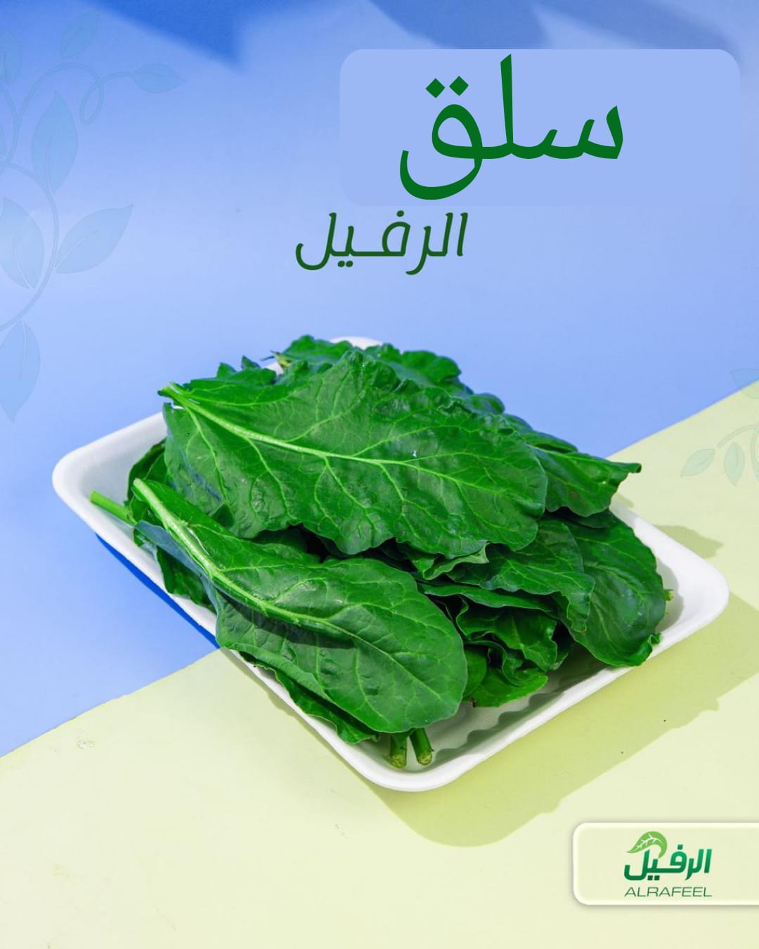 سلق مع العود معلب ونظيف