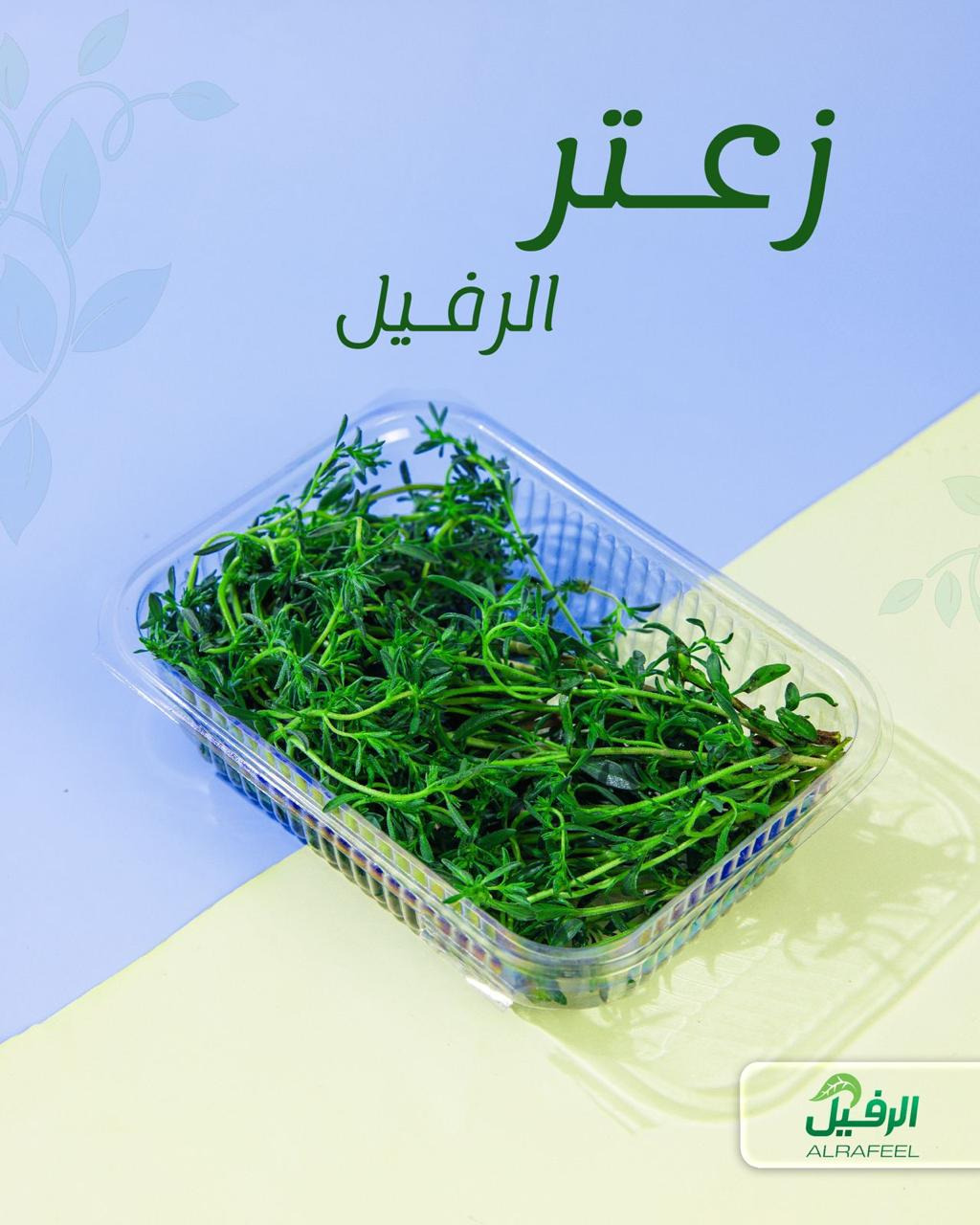 زعتر اخضر سوري معلب ونظيف