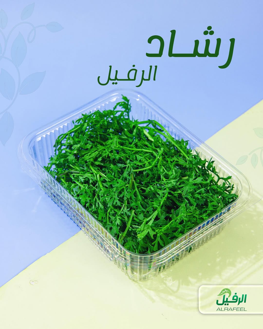 رشاد عراقي معلب ونظيف