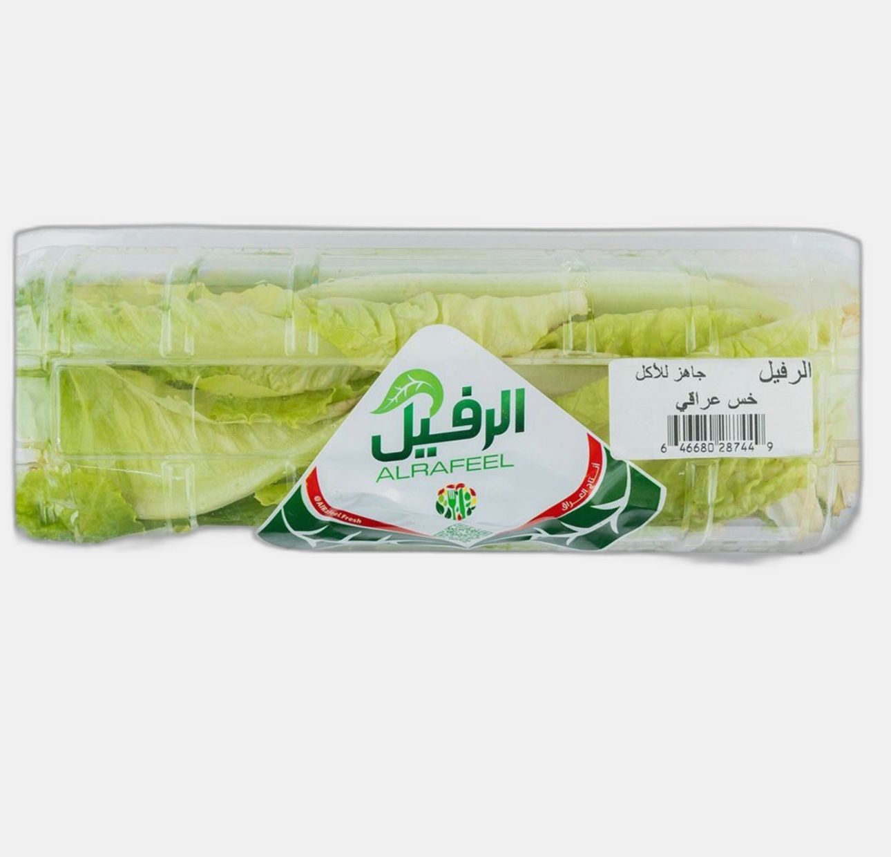 خس عراقي معلب ونظيف