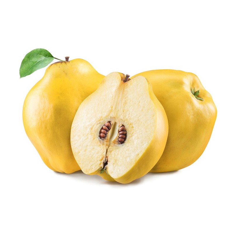 سفرجل