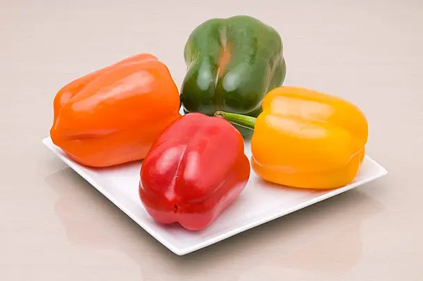 فلفل الوان علبه