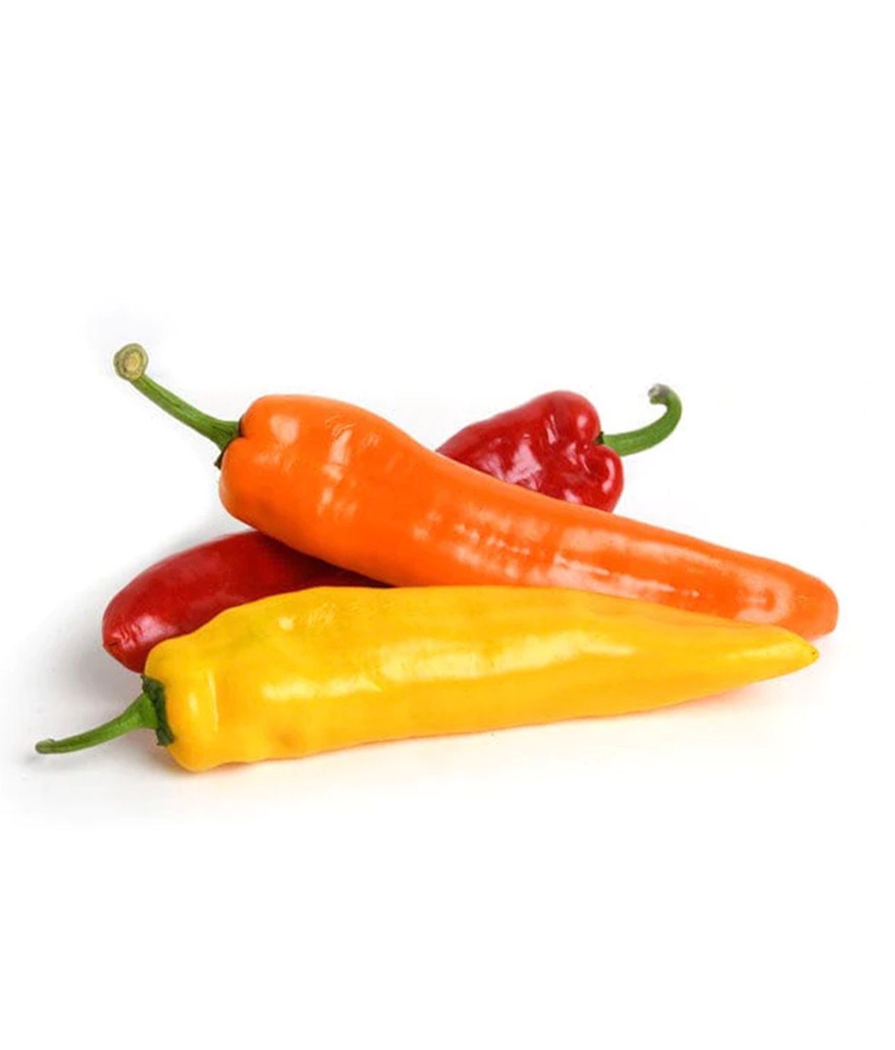فلفل مزحلق الوان