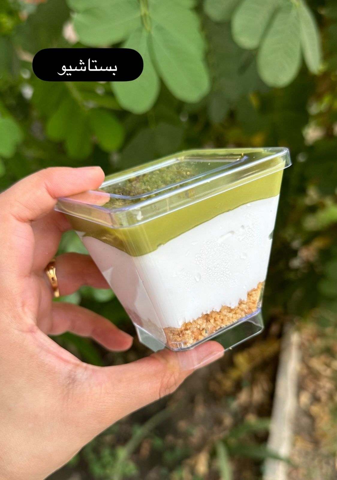 بستاشيو جار