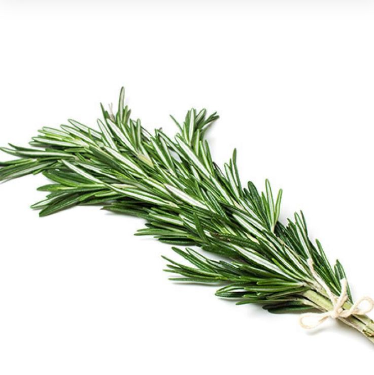 روز ماري عراقي