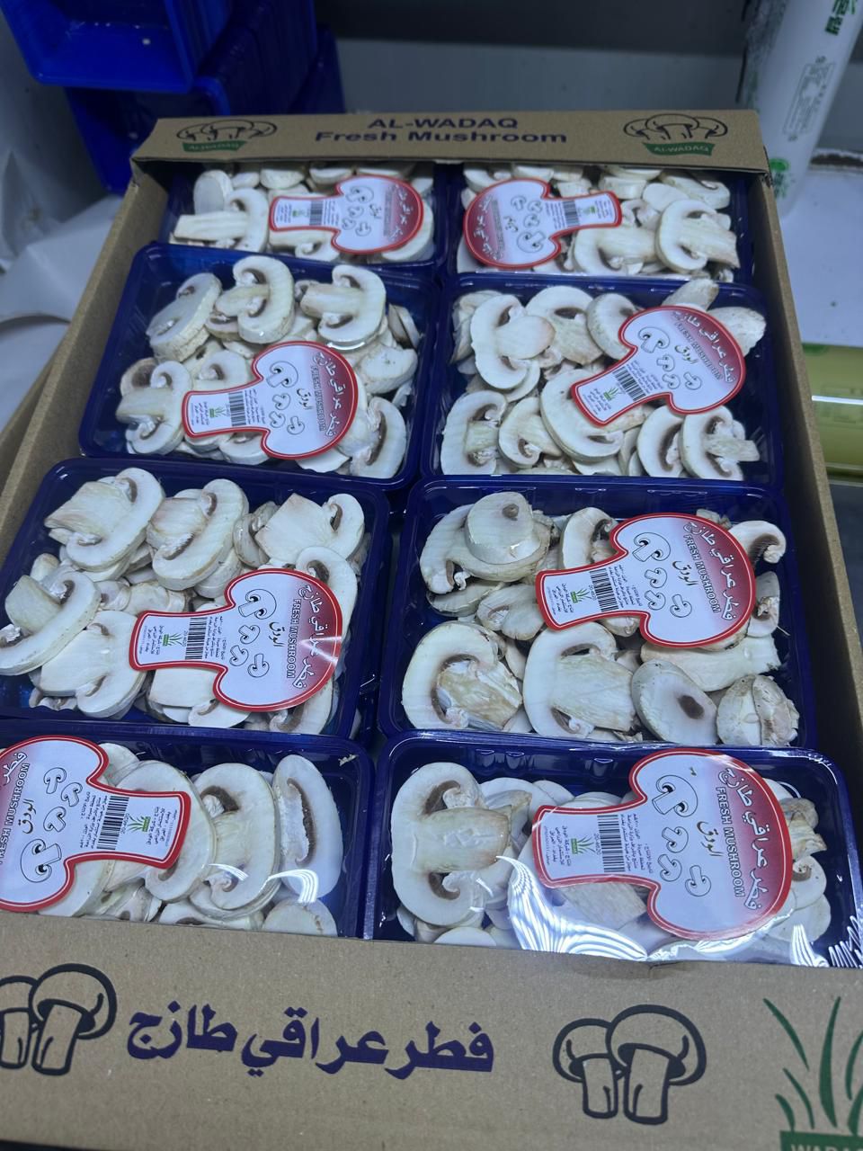 علبة فطر ابيض مقطع - 200 غرام - 8 علب