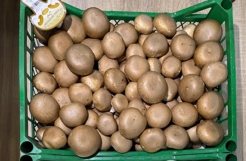 فطر عراقي بني - كيلو