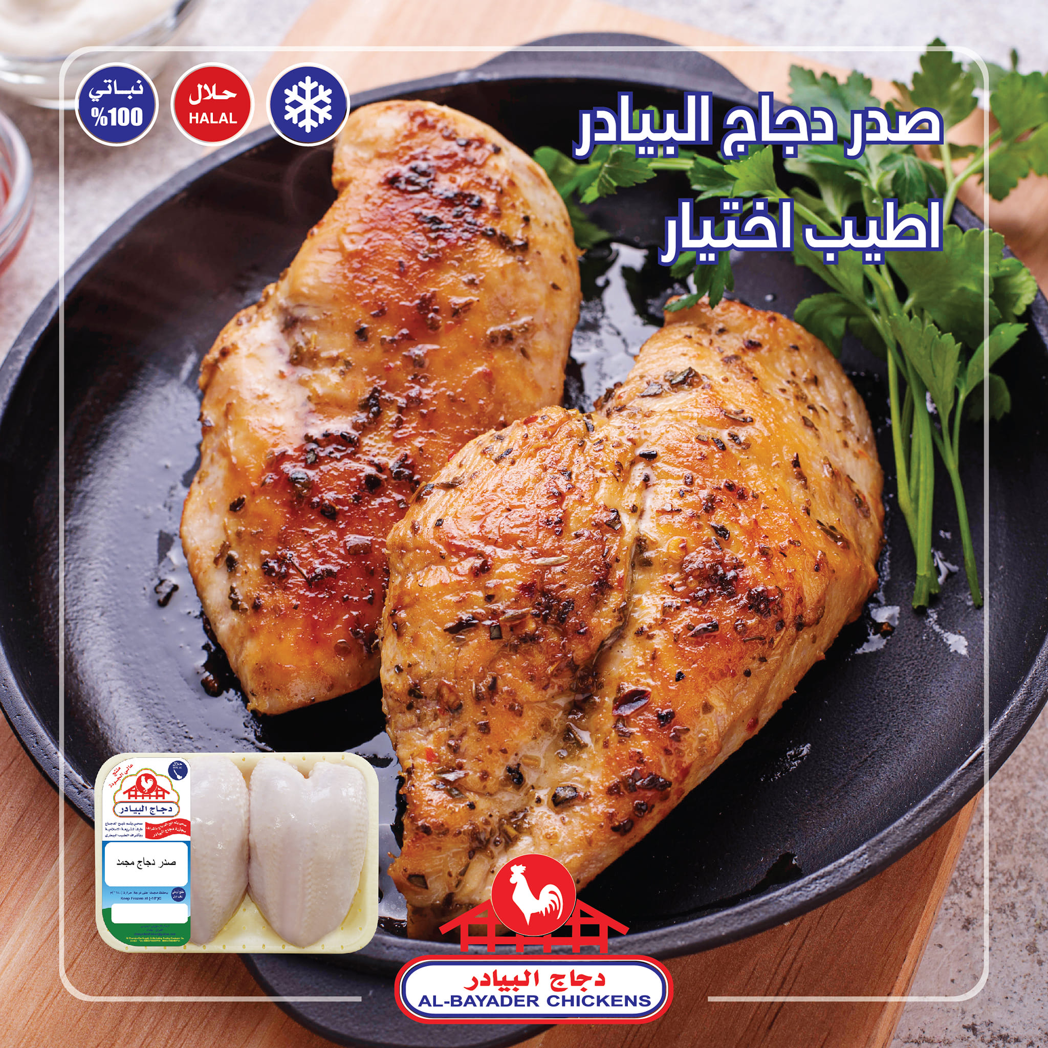 البيادر صدر دجاج 600 غم - 10*1